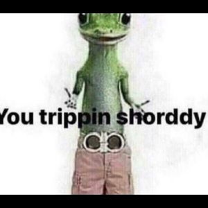 Meet your Posher, Edith